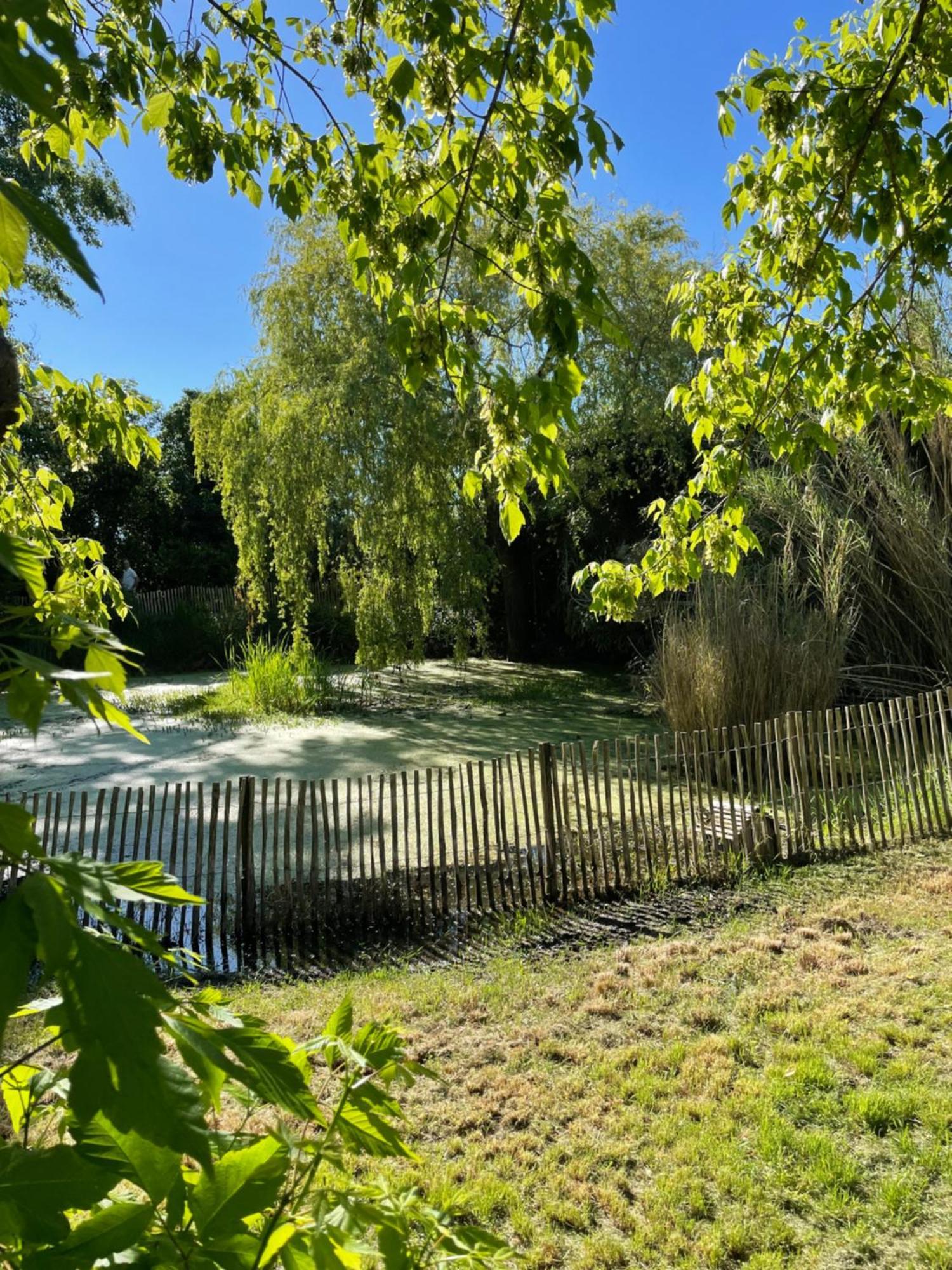 Instant Zen Bed & Breakfast Saint-Vivien-de-Medoc Exterior photo